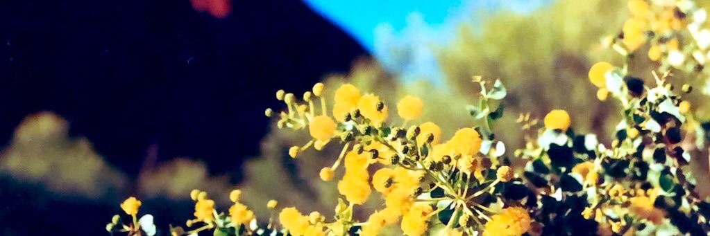 theloVed6's profile banner image