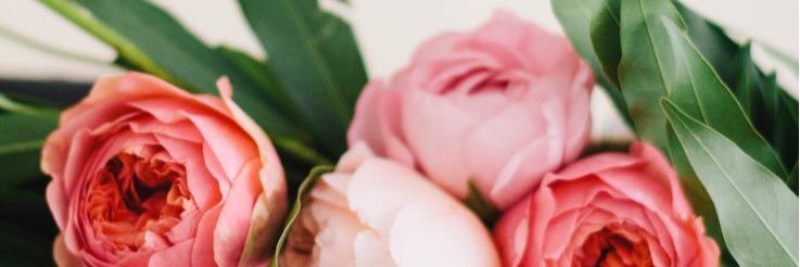 ShelbyStark's profile banner image