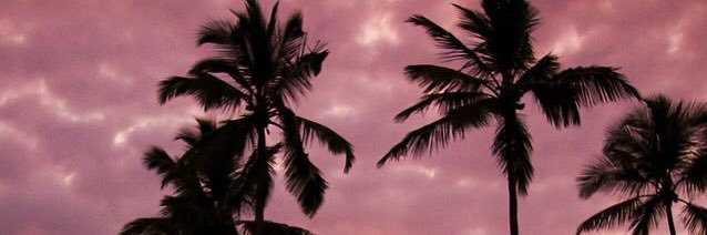 AndreMB23's profile banner image