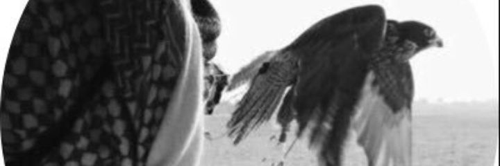 nasar_1's profile banner image