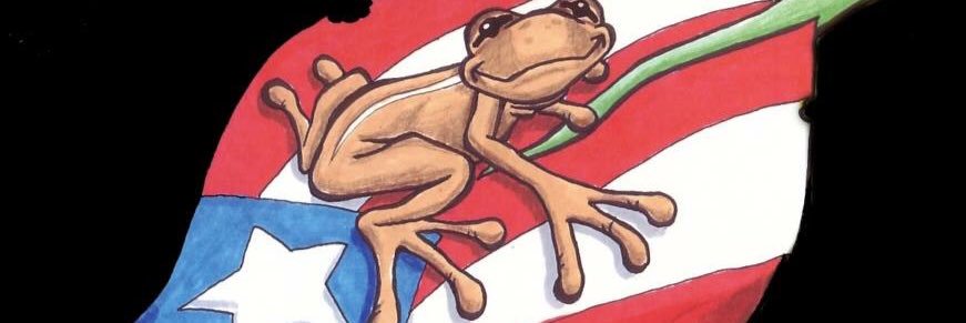 lupcho66's profile banner image