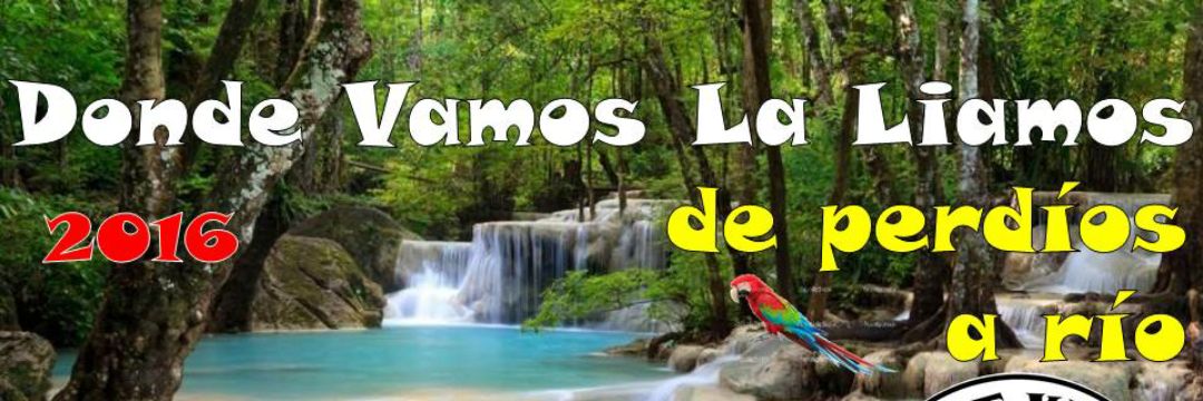 DondeVamos LaLiamos banner