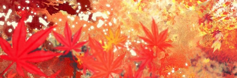 ₛₘₒₗ half asian🧋✨ banner