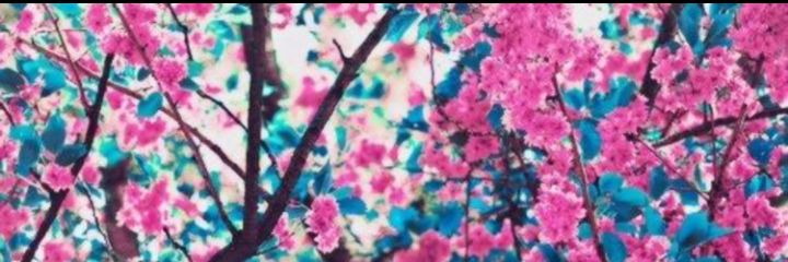 desssy123's profile banner image