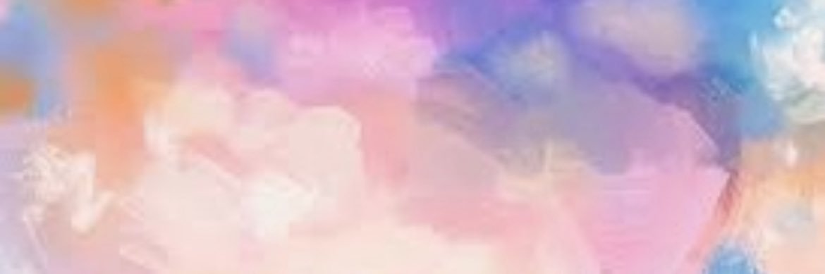 Mrs. DiBiase Velardi banner