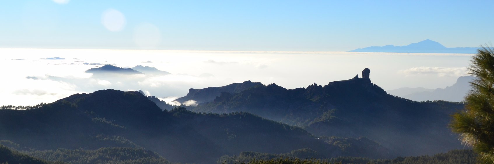 Fernando Castellano banner