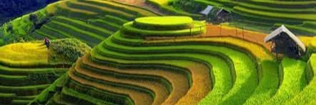 lukman_munajat's profile banner image