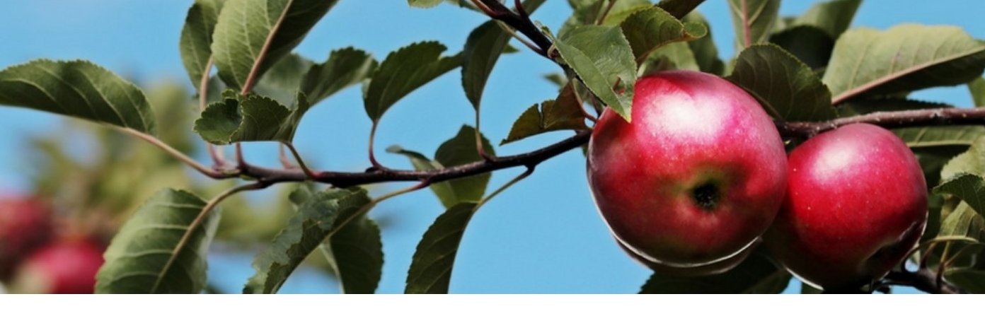 BTC_Health's profile banner image