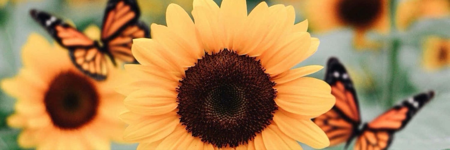 ThaSunFlower90's profile banner image