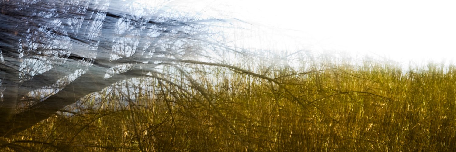 FloroAzqueta's profile banner image