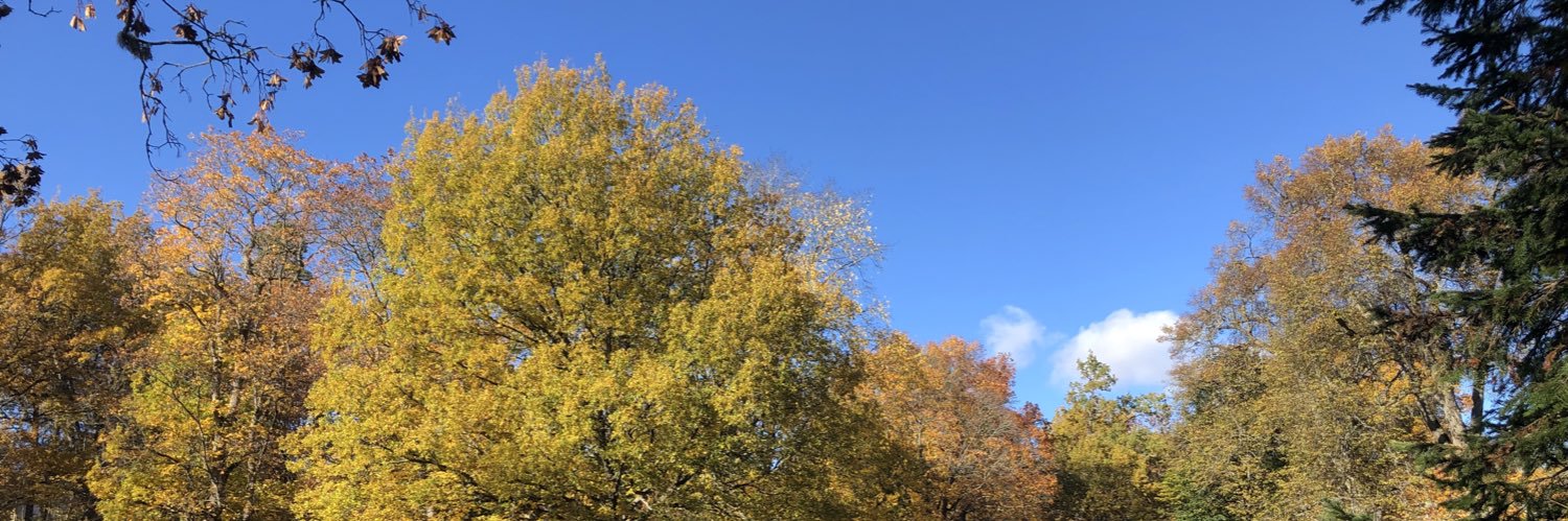 MarianneJoronen's profile banner image