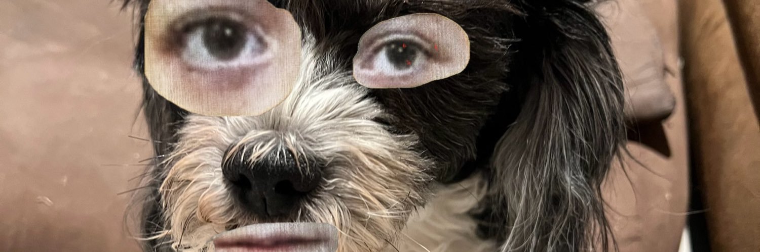 ShawShot's profile banner image
