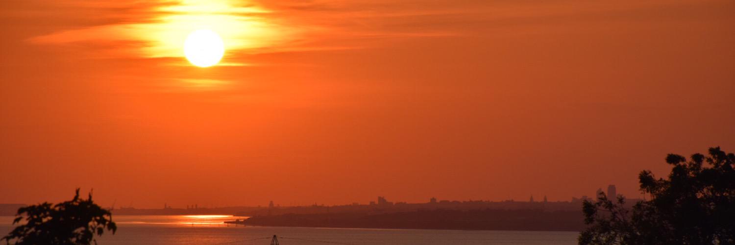 SarahThakur1's profile banner image