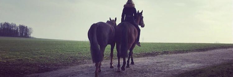 Mswemma's profile banner image