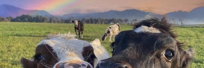 maddioos's profile banner image
