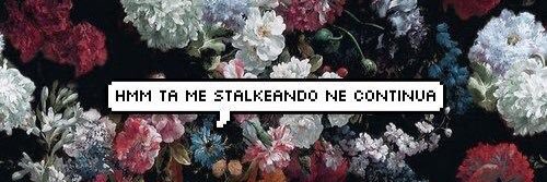 ▀▄▀▄ 𝕲𝖎𝖔𝖛𝖆𝖓𝖓𝖆 𝕮𝖊𝖈𝖈𝖍𝖎𝖓𝖎 🍒 banner