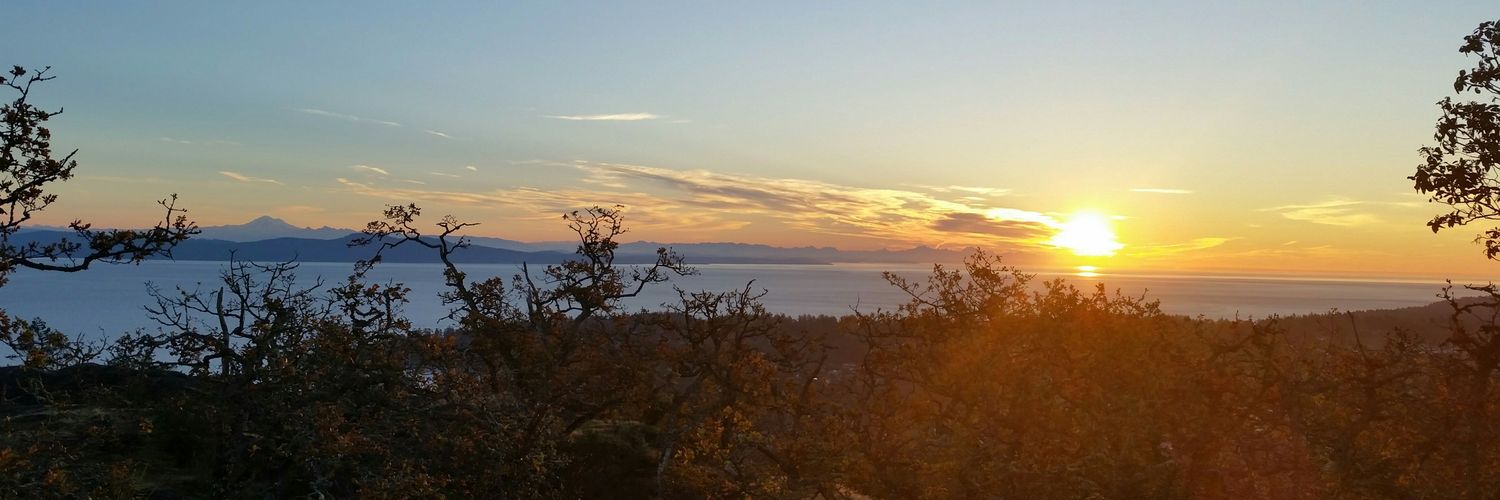 Melissa Rickson banner