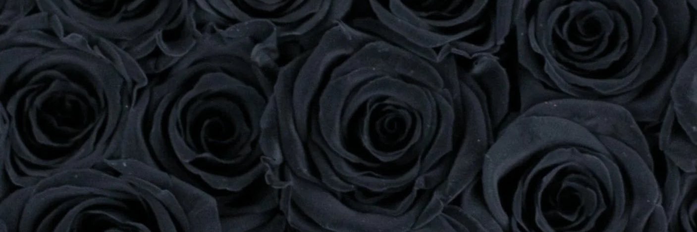 1laybenji's profile banner image