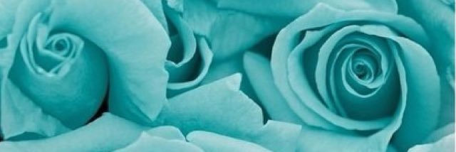 KerriThompsonn8's profile banner image