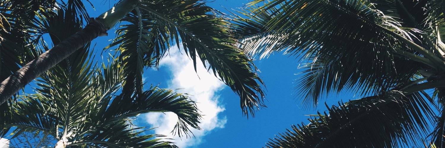 MICAELADEBLASIO's profile banner image
