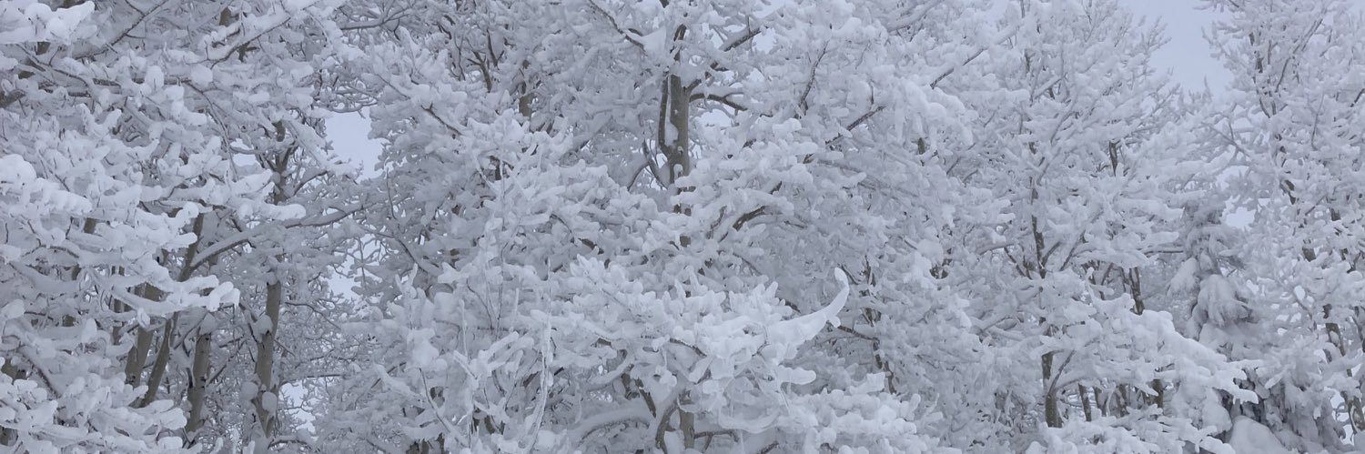 davidcmeyer's profile banner image