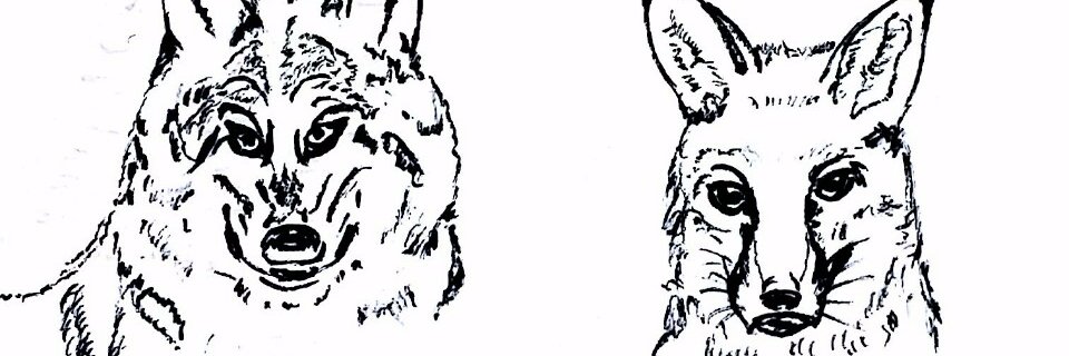 SunSunel's profile banner image