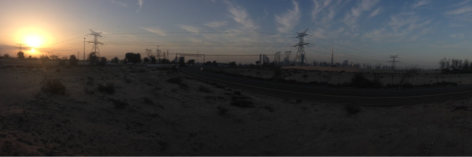 Sine Sofie Friis banner