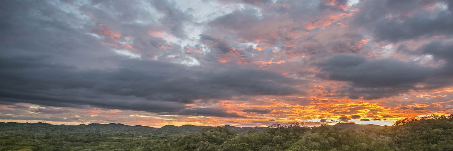 TuiranAlejandro's profile banner image
