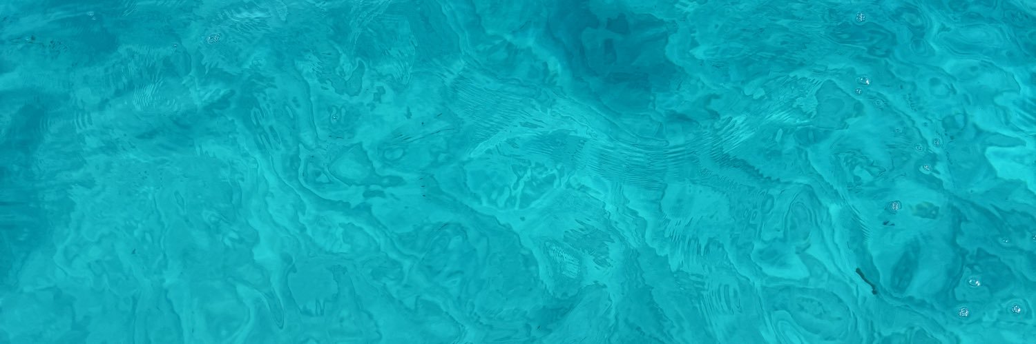 Evariadel's profile banner image