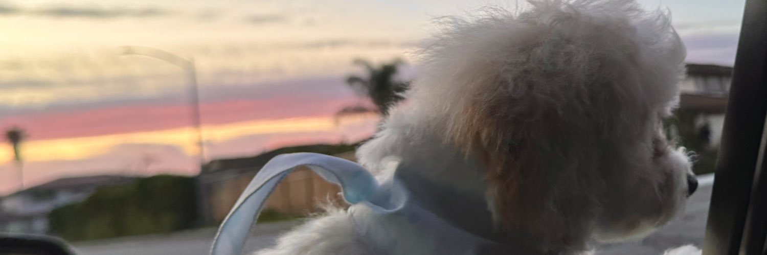 angvlineee's profile banner image