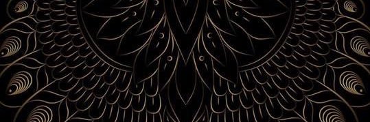 salQ2's profile banner image