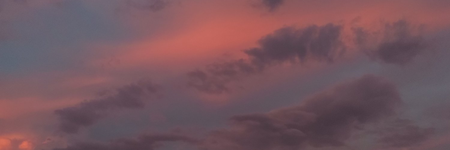 amesolim's profile banner image