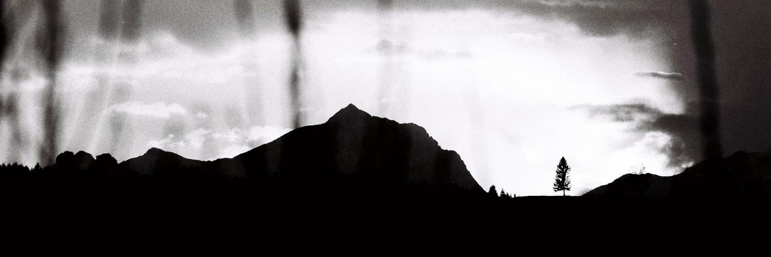 eisnstein's profile banner image