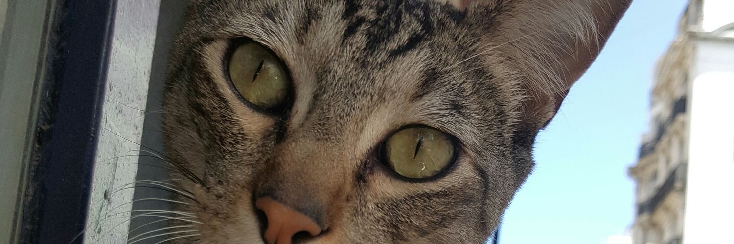 ValeRomano's profile banner image