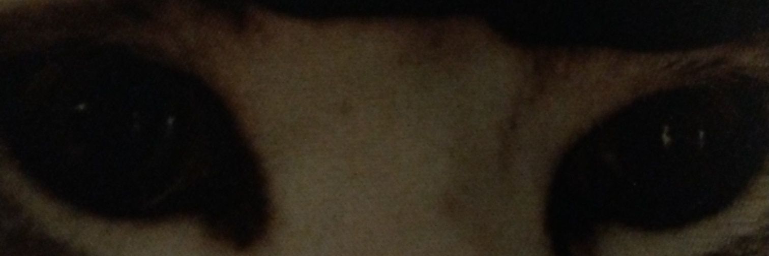 Tiger Chan 🇭🇰 banner