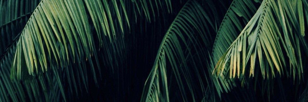 AmmarIsyraq's profile banner image