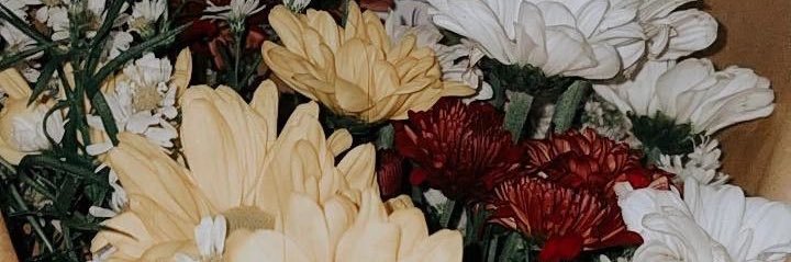 aishaaakamal's profile banner image