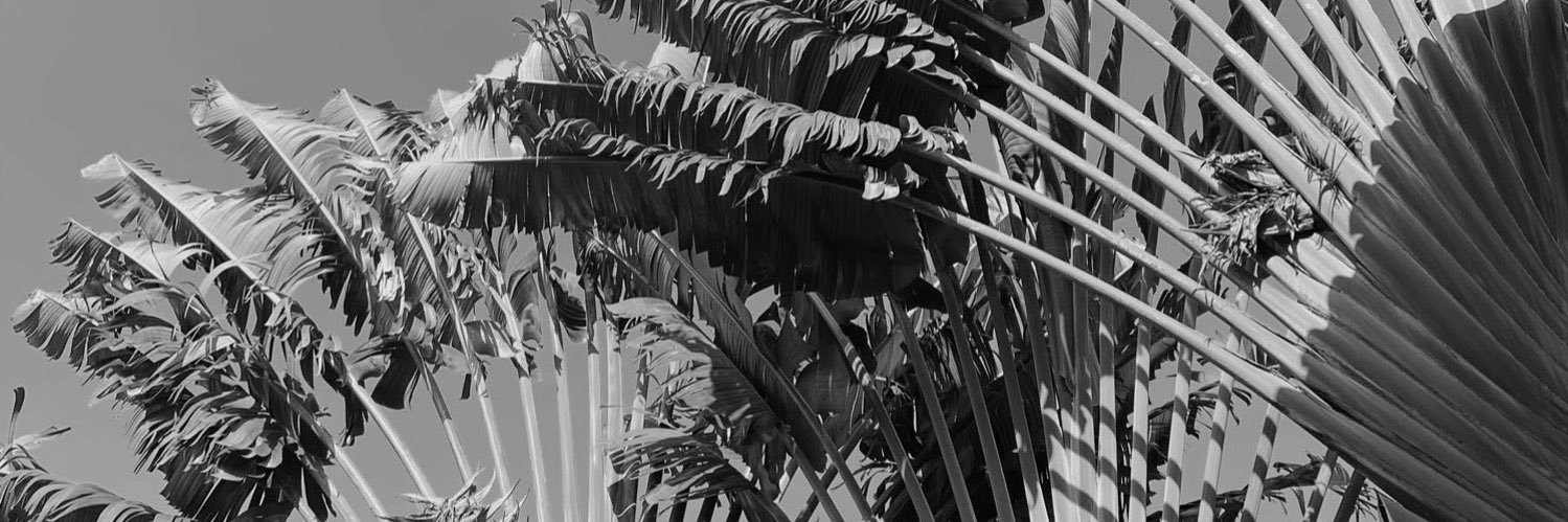 maylagrm's profile banner image