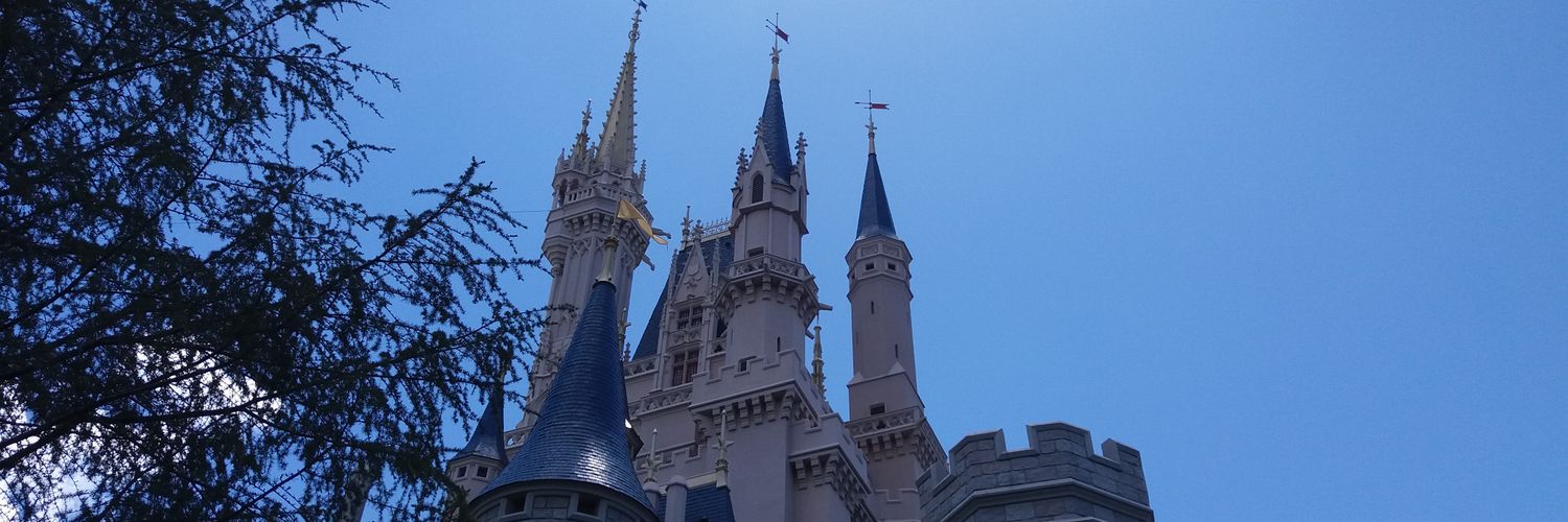 mercee1D's profile banner image