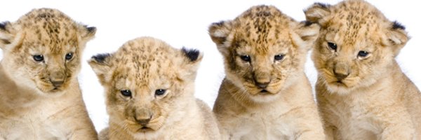 BarclaysPrint Profile Banner