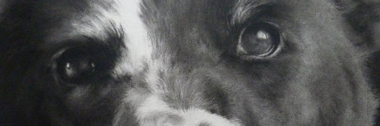 Caz_ell's profile banner image
