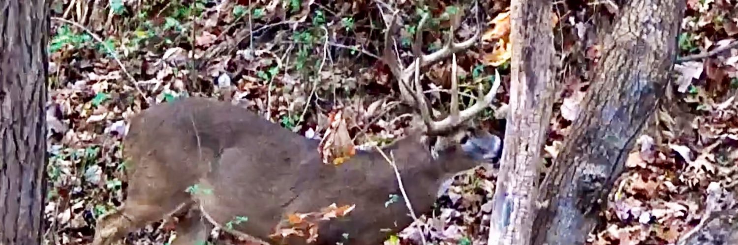 Danny Robinson banner