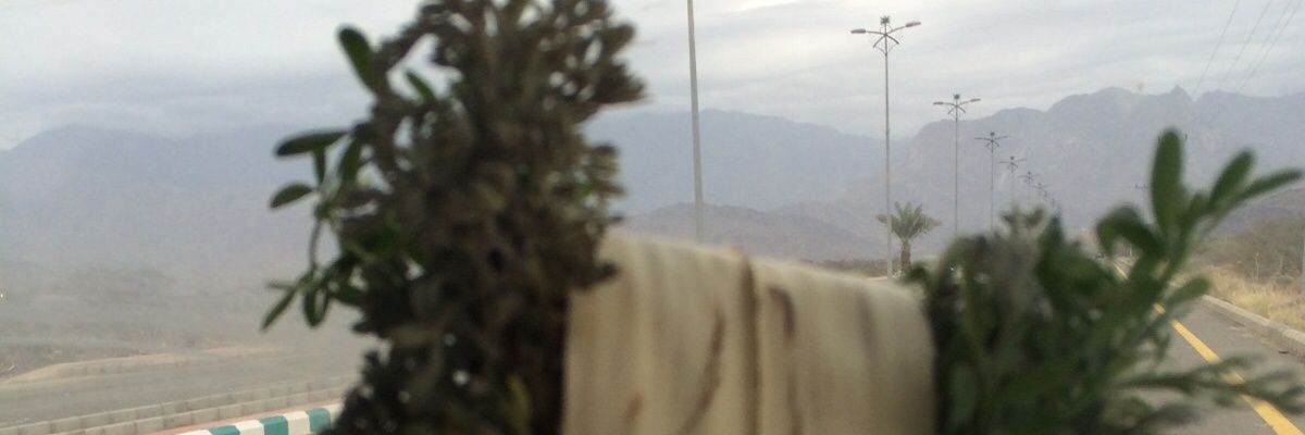 abohsam2's profile banner image