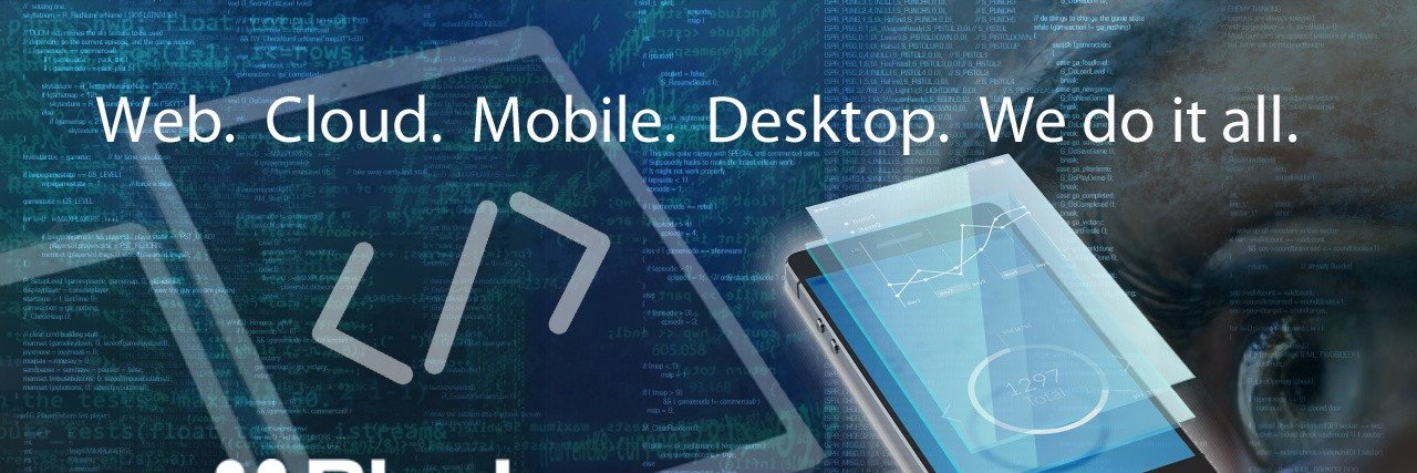 Blueberry Consultants banner