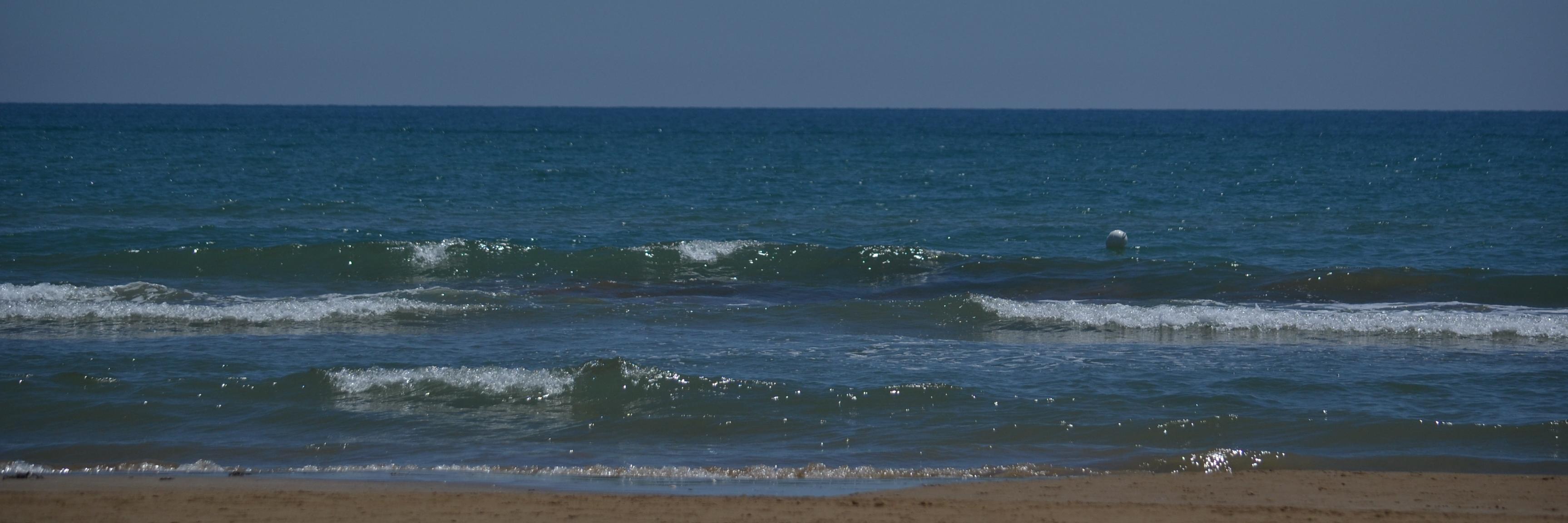 SILVIACASTRUCCI's profile banner image