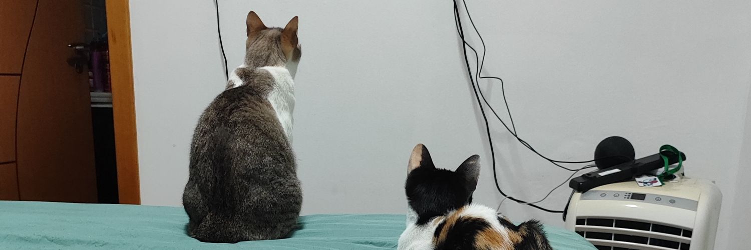 Vitória 🐊 banner