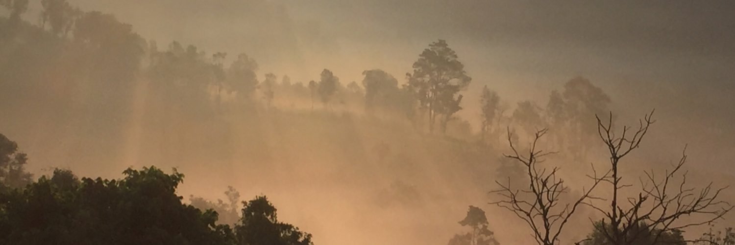 svebaa's profile banner image