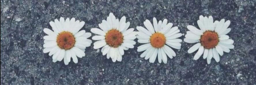andreabermejo28's profile banner image