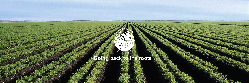 RhizomicsBiotec's profile banner image