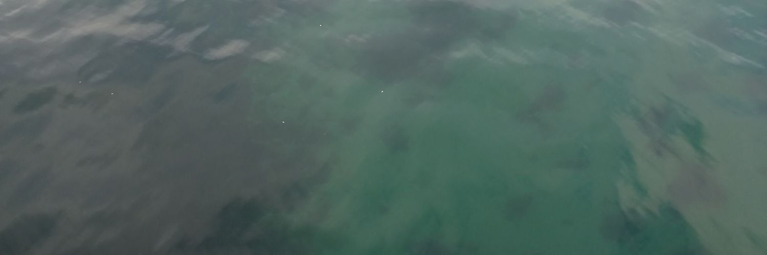 skatejaaf's profile banner image